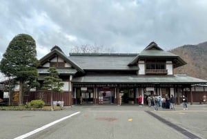 A partir de Tóquio: Viagem de 1 dia privada ao Património Mundial de Nikko