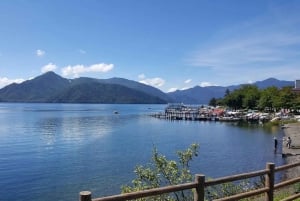A partir de Tóquio: Viagem de 1 dia privada ao Património Mundial de Nikko