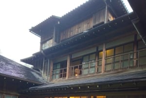 A partir de Tóquio: Viagem de 1 dia privada ao Património Mundial de Nikko