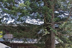 A partir de Tóquio: Viagem de 1 dia privada ao Património Mundial de Nikko