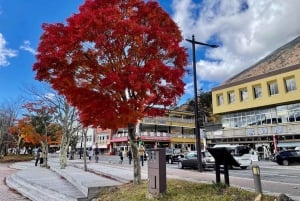 A partir de Tóquio: Viagem de 1 dia privada ao Património Mundial de Nikko