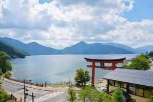 A partir de Tóquio: Viagem de 1 dia privada ao Património Mundial de Nikko
