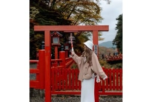 A partir de Tóquio: Viagem de 1 dia privada ao Património Mundial de Nikko