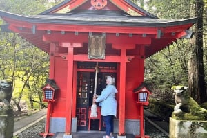 Från Tokyo: Privat dagsutflykt till världsarvet Nikko