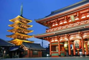 Från Tokyo: Privat dagsutflykt till världsarvet Nikko