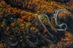 Från Tokyo: Privat dagsutflykt till världsarvet Nikko