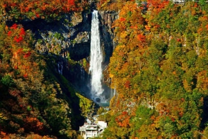 Från Tokyo: Privat dagsutflykt till världsarvet Nikko