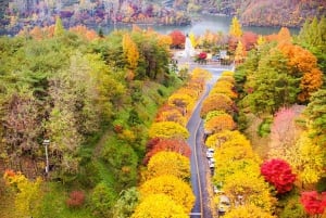 Från Tokyo: Privat dagsutflykt till världsarvet Nikko