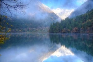 Från Tokyo: Privat dagsutflykt till världsarvet Nikko