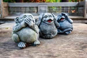 Från Tokyo: Privat dagsutflykt till världsarvet Nikko