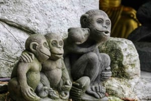 Från Tokyo: Privat dagsutflykt till världsarvet Nikko