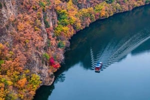 Från Tokyo: Privat dagsutflykt till världsarvet Nikko