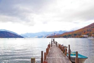 Från Tokyo: Privat dagsutflykt till världsarvet Nikko