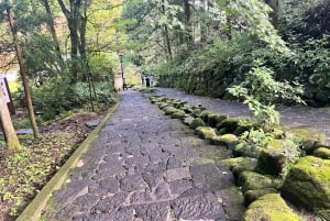 Från Tokyo: Privat dagsutflykt till världsarvet Nikko