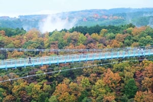 From Tokyo: Numazu Port, Mishima Skywalk, Mt. Fuji View Tour