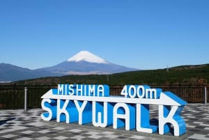 From Tokyo: Numazu Port, Mishima Skywalk, Mt. Fuji View Tour