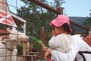 From Tokyo: Numazu Port, Mishima Skywalk, Mt. Fuji View Tour