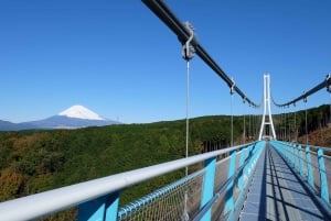 From Tokyo: Numazu Port, Mishima Skywalk, Mt. Fuji View Tour