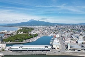From Tokyo: Numazu Port, Mishima Skywalk, Mt. Fuji View Tour