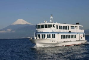 From Tokyo: Numazu Port, Mishima Skywalk, Mt. Fuji View Tour