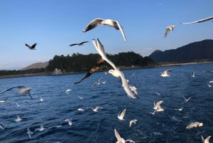 From Tokyo: Numazu Port, Mishima Skywalk, Mt. Fuji View Tour