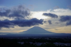 From Tokyo: Numazu Port, Mishima Skywalk, Mt. Fuji View Tour