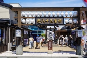 From Tokyo: Numazu Port, Mishima Skywalk, Mt. Fuji View Tour