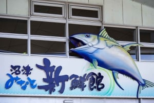 From Tokyo: Numazu Port, Mishima Skywalk, Mt. Fuji View Tour