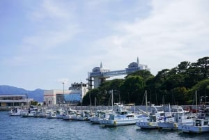 From Tokyo: Numazu Port, Mishima Skywalk, Mt. Fuji View Tour