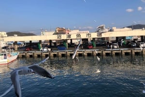 From Tokyo: Numazu Port, Mishima Skywalk, Mt. Fuji View Tour
