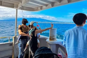 From Tokyo: Numazu Port, Mishima Skywalk, Mt. Fuji View Tour