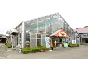 From Tokyo: Numazu Port, Mishima Skywalk, Mt. Fuji View Tour