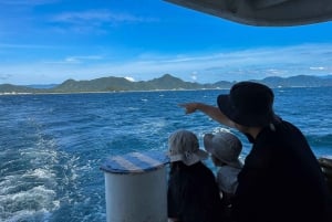 From Tokyo: Numazu Port, Mishima Skywalk, Mt. Fuji View Tour