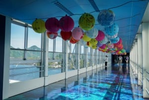 From Tokyo: Numazu Port, Mishima Skywalk, Mt. Fuji View Tour