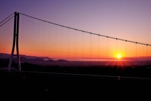 From Tokyo: Numazu Port, Mishima Skywalk, Mt. Fuji View Tour