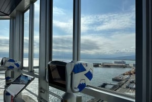 From Tokyo: Numazu Port, Mishima Skywalk, Mt. Fuji View Tour