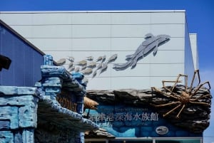 From Tokyo: Numazu Port, Mishima Skywalk, Mt. Fuji View Tour