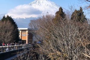 From Tokyo: Numazu Port, Mishima Skywalk, Mt. Fuji View Tour