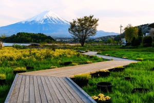 Fra Tokyo: Privat dagsudflugt til Fuji-bjerget og Fuji Five Lakes