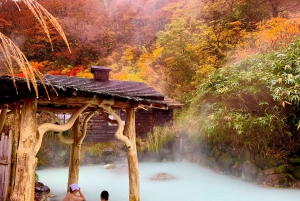 Da Tokyo: tour privato in auto JDM/sportiva al Monte Fuji e Hakone