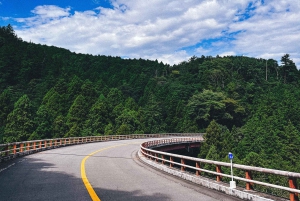 Da Tokyo: tour privato in auto JDM/sportiva al Monte Fuji e Hakone