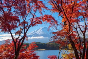 Da Tokyo: tour privato in auto JDM/sportiva al Monte Fuji e Hakone