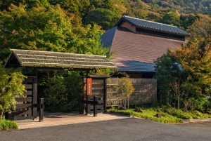 Da Tokyo: tour privato in auto JDM/sportiva al Monte Fuji e Hakone