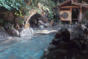 Da Tokyo: tour privato in auto JDM/sportiva al Monte Fuji e Hakone