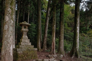 Da Tokyo: tour privato in auto JDM/sportiva al Monte Fuji e Hakone