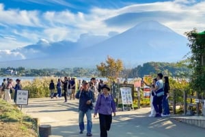 From Tokyo: Private Mount Fuji and Hakone Day Trip