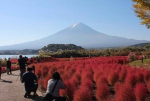 From Tokyo: Private Mount Fuji and Hakone Day Trip