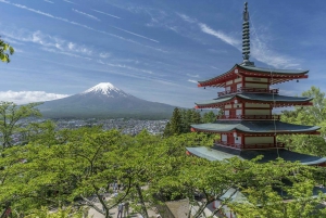 From Tokyo: Mount Fuji & Hakone Private Guided Full Day Trip