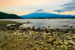 From Tokyo: Private Mount Fuji Full-Day Guided Tour