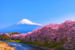 Från Tokyo: Privat dagsutflykt till berget Fuji och Fuji Five Lakes